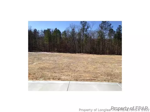 785 Juno Dr, Broadway, NC 27505 photo 25