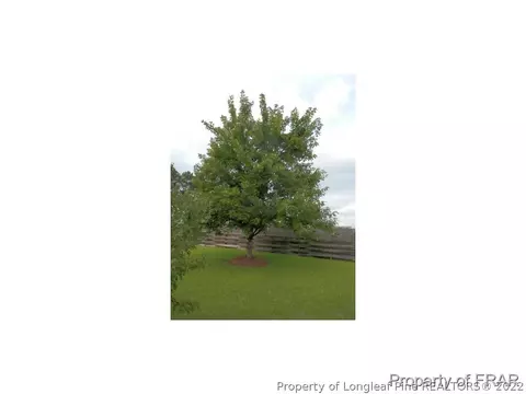 166 Edgecombe Dr, Spring Lake, NC 28390 photo 24