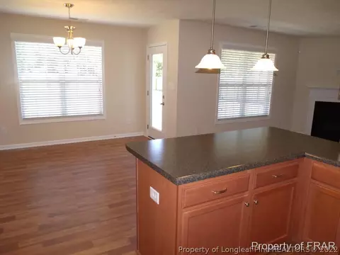 936 Raspberry Rd, Stedman, NC 28391 photo 10