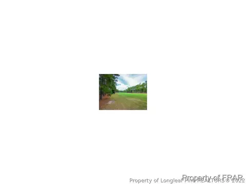 46 Greyabbey Dr, Pinehurst, NC 28374 photo 3