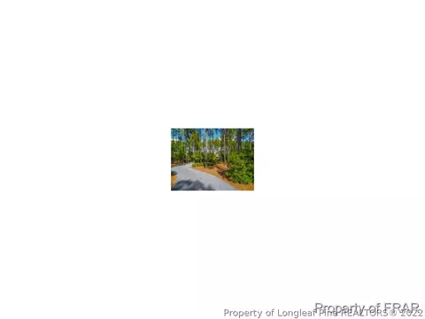 46 Greyabbey Dr, Pinehurst, NC 28374 photo 22