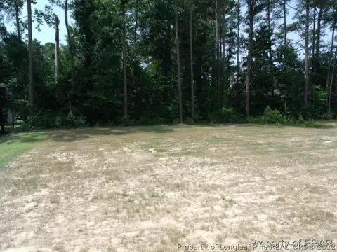 808 Raspberry Rd, Stedman, NC 28391 photo 35