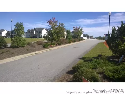 29 Crane Way, Bunnlevel, NC 28323 photo 29