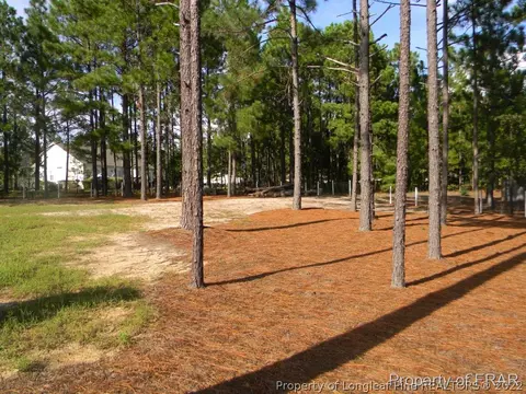 113 Perkins, Pinebluff, NC 28373 photo 9