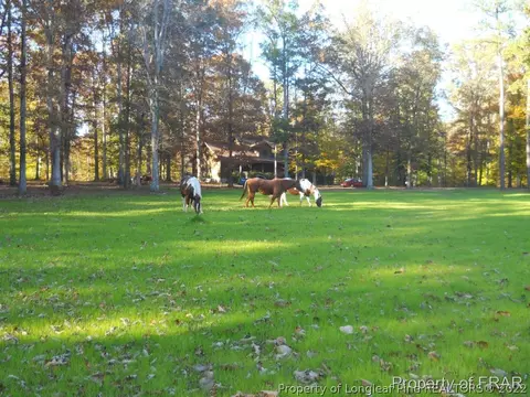 297 River Bluff Dr, Dunn, NC 28334 photo 6
