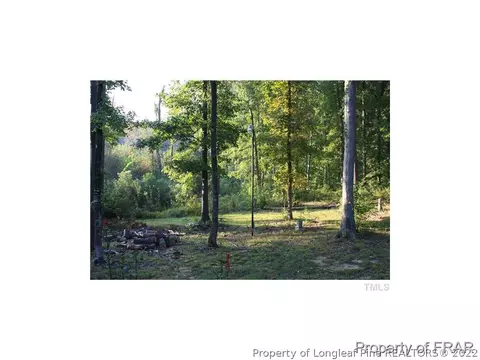 297 River Bluff Dr, Dunn, NC 28334 photo 5