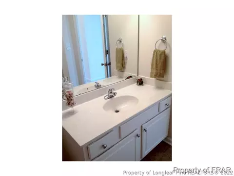 160 Sword Loop, Broadway, NC 27505 photo 19