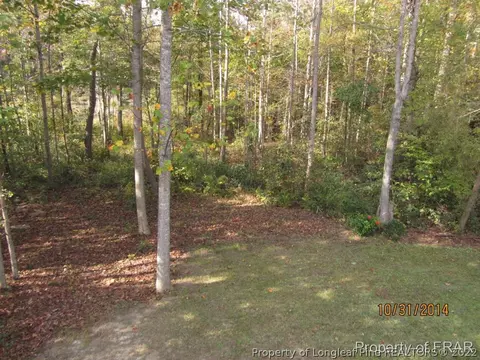 88 Sword Loop, Broadway, NC 27505 photo 19