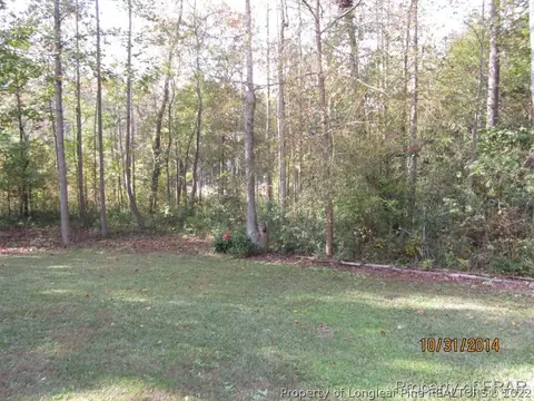 88 Sword Loop, Broadway, NC 27505 photo 21