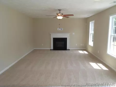 908 Raspberry Rd, Stedman, NC 28391 photo 13