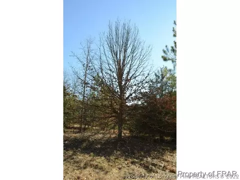 475 Carson Gregory Rd, Coats, NC 27521 photo 28