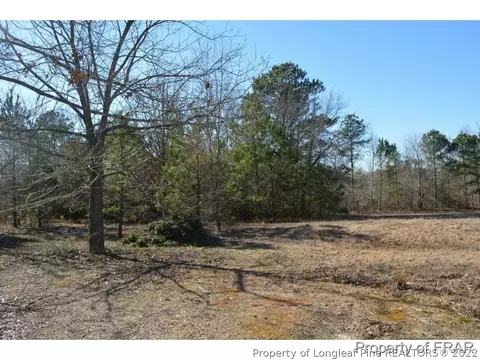 475 Carson Gregory Rd, Coats, NC 27521 photo 29