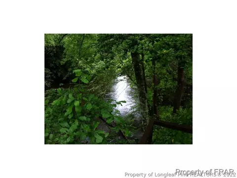 1233 Josey Williams Rd, Bunnlevel, NC 28323 photo 23