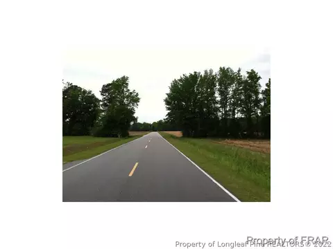 1233 Josey Williams Rd, Bunnlevel, NC 28323 photo 11