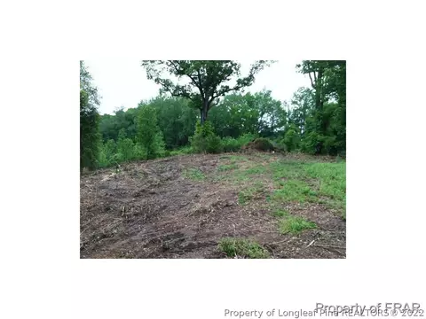 1233 Josey Williams Rd, Bunnlevel, NC 28323 photo 21