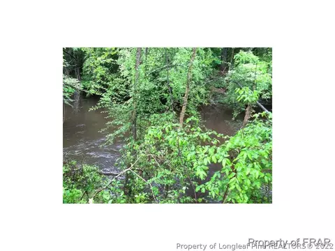 1233 Josey Williams Rd, Bunnlevel, NC 28323 photo 3