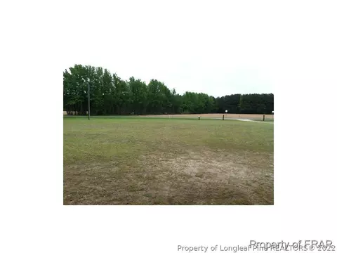 1233 Josey Williams Rd, Bunnlevel, NC 28323 photo 19