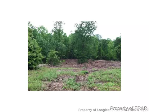 1233 Josey Williams Rd, Bunnlevel, NC 28323 photo 26