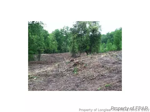 1233 Josey Williams Rd, Bunnlevel, NC 28323 photo 13