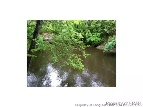 1233 Josey Williams Rd, Bunnlevel, NC 28323 photo 5