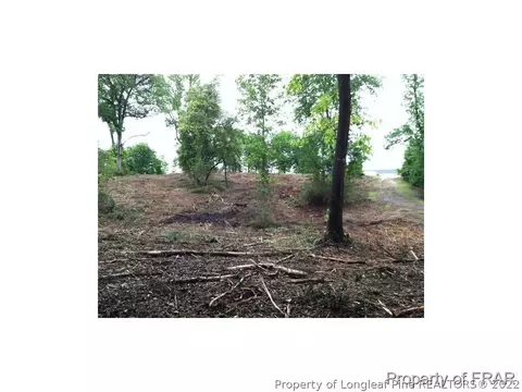 1233 Josey Williams Rd, Bunnlevel, NC 28323 photo 25
