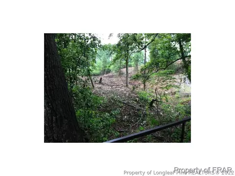 1233 Josey Williams Rd, Bunnlevel, NC 28323 photo 22