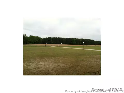1233 Josey Williams Rd, Bunnlevel, NC 28323 photo 17
