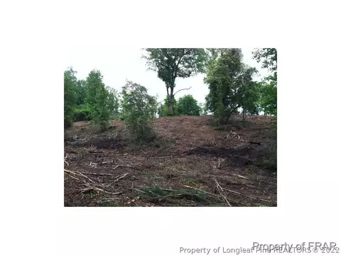 1233 Josey Williams Rd, Bunnlevel, NC 28323 photo 15