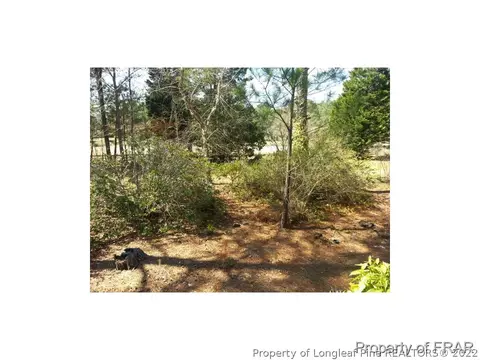 85 Traceway, Sanford, NC 27332 photo 5
