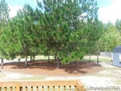 140 Gore St, Pinebluff, NC 28373 photo 20