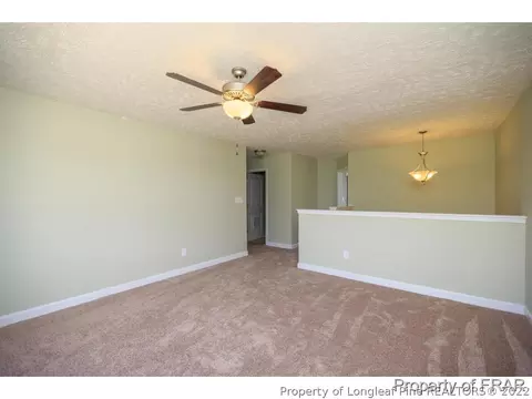 162 Small Timber Ln, Raeford, NC 28376 photo 13