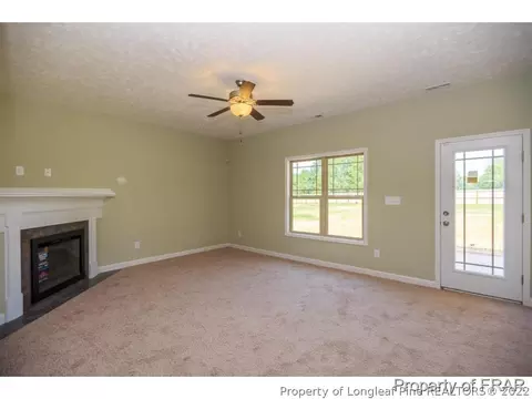 162 Small Timber Ln, Raeford, NC 28376 photo 11