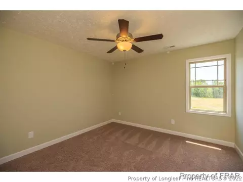 162 Small Timber Ln, Raeford, NC 28376 photo 20