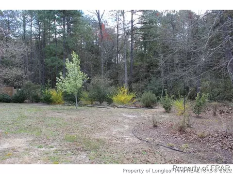 246 Lattimore Rd, Cameron, NC 28326 photo 30