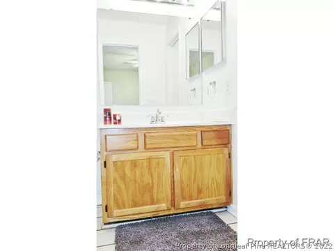 259 Lemuel Black Rd, Bunnlevel, NC 28323 photo 15