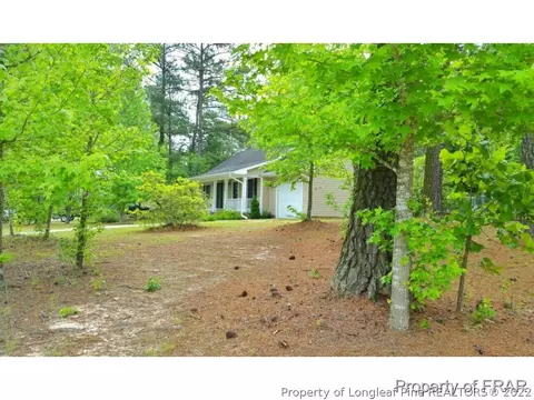 259 Lemuel Black Rd, Bunnlevel, NC 28323 photo 31