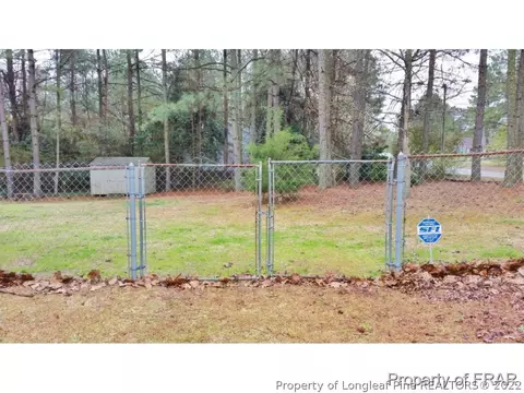 259 Lemuel Black Rd, Bunnlevel, NC 28323 photo 22
