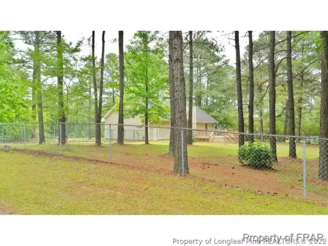 259 Lemuel Black Rd, Bunnlevel, NC 28323 photo 30