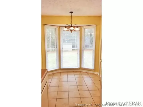 259 Lemuel Black Rd, Bunnlevel, NC 28323 photo 11