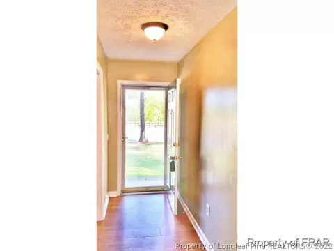 259 Lemuel Black Rd, Bunnlevel, NC 28323 photo 27