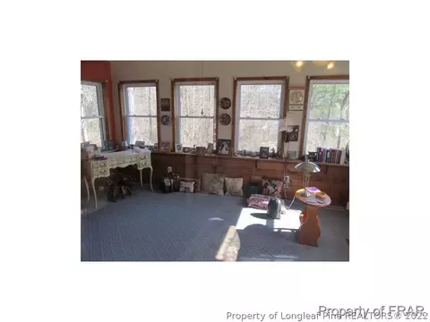42 Lizard Lick Ln, Cameron, NC 28326 photo 10