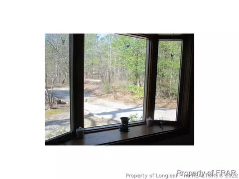 42 Lizard Lick Ln, Cameron, NC 28326 photo 18