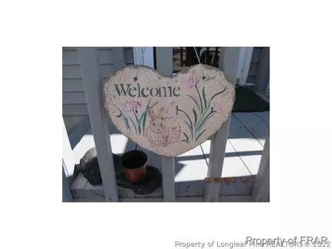42 Lizard Lick Ln, Cameron, NC 28326 photo 4