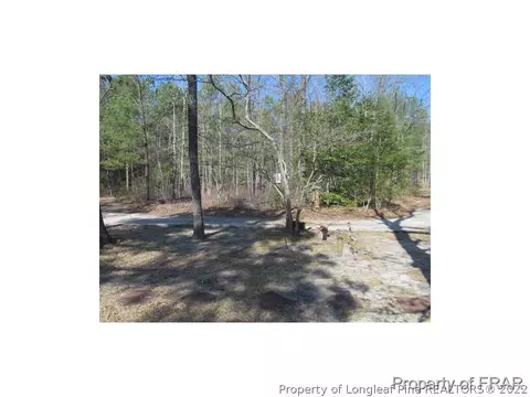 42 Lizard Lick Ln, Cameron, NC 28326 photo 3