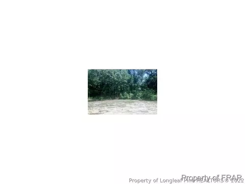 828 Raspberry Rd, Stedman, NC 28391 photo 12