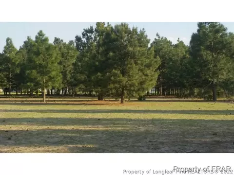 110 Wright Rd, Vass, NC 28394 photo 29