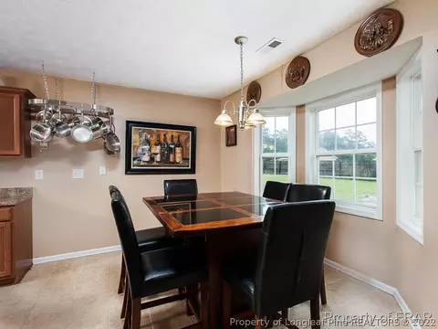 36 Michael Ct, Erwin, NC 28339 photo 9