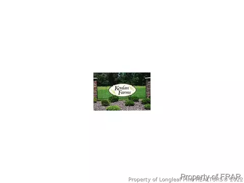 209 Shepard Dr, Linden, NC 28356 photo 29