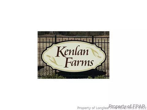262 Shepard Dr, Linden, NC 28356 photo 4
