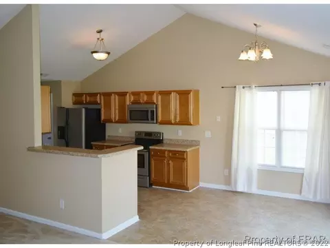 45 Ashcott Dr, Angier, NC 27501 photo 8